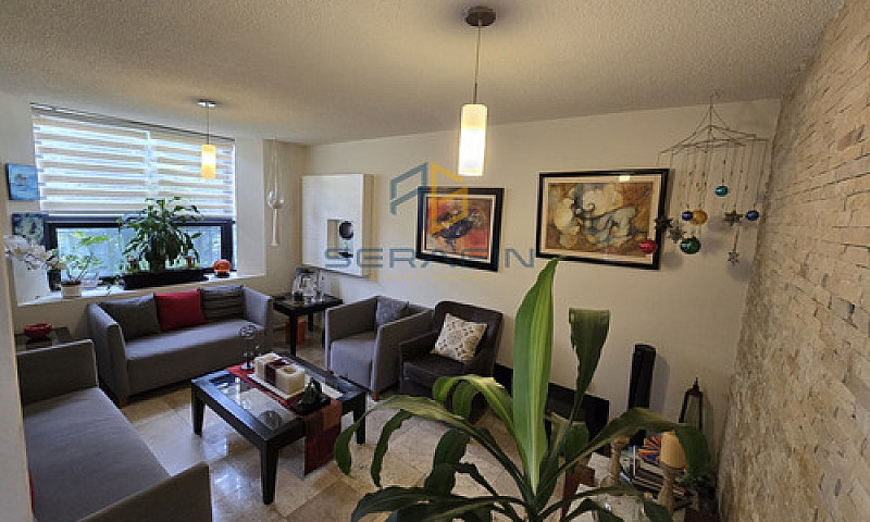 Casa En Venta Col. D...