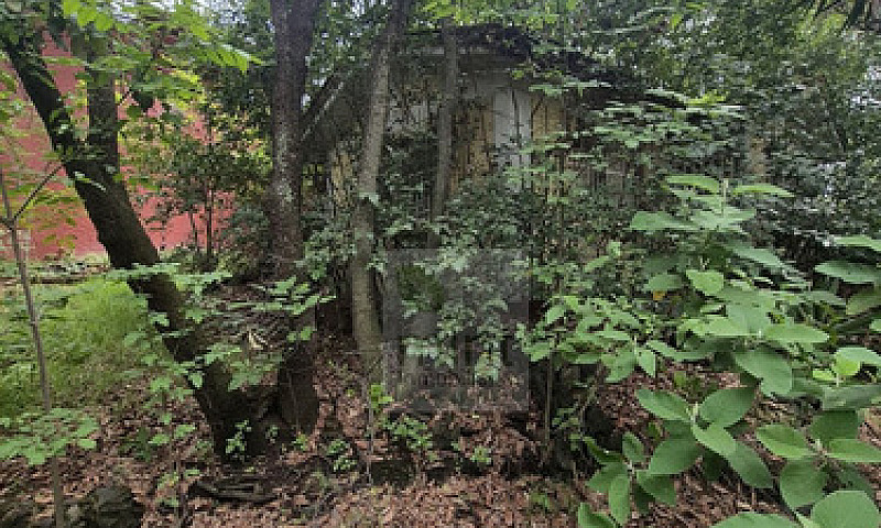 Jardines Del Ajusco ...