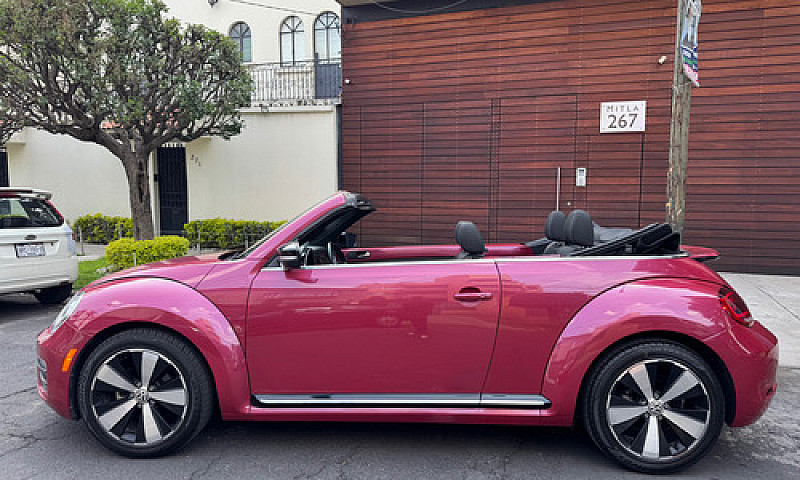 Hermoso Beetle 2017 ...