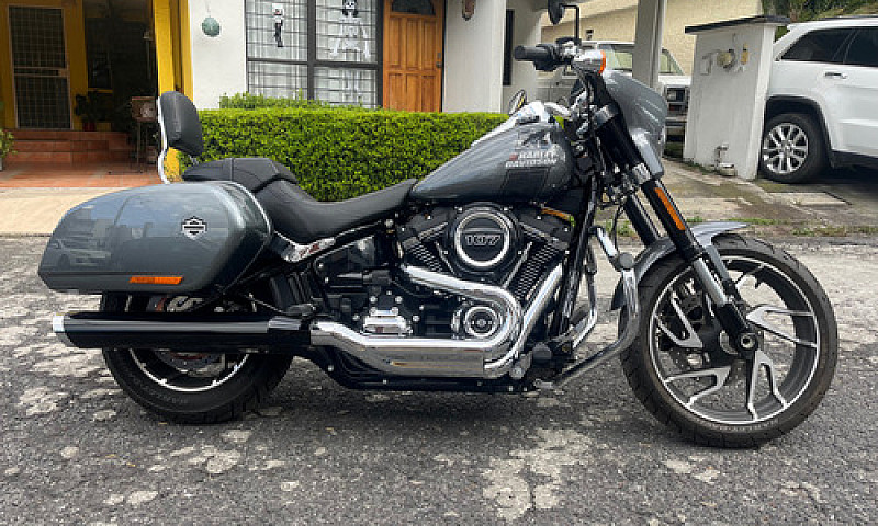 Harley-Davidson Soft...