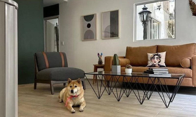 Condesa Venta  Depar...