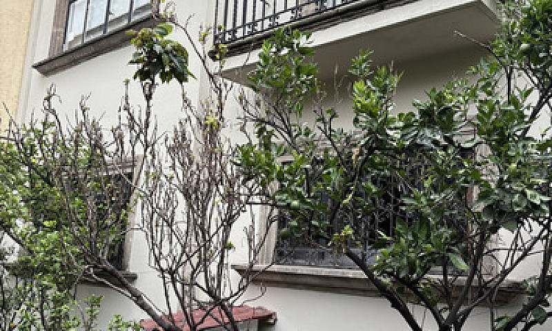 Casa En Venta En Col...