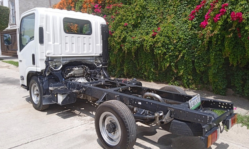 Isuzu Elf 100 2022 2...