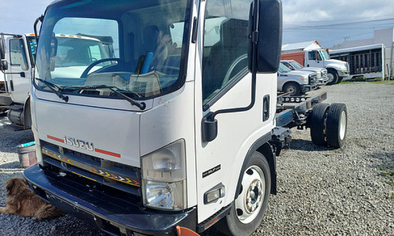 Isuzu Elf600...