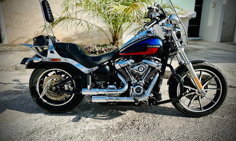 Harley-Davidson Soft...