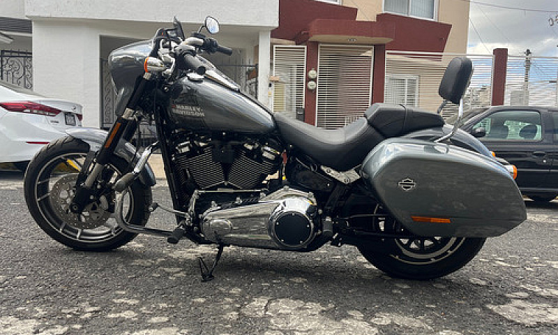 Harley-Davidson Soft...