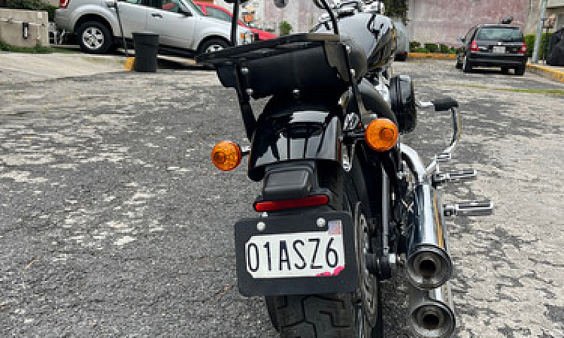 Harley-Davidson Soft...
