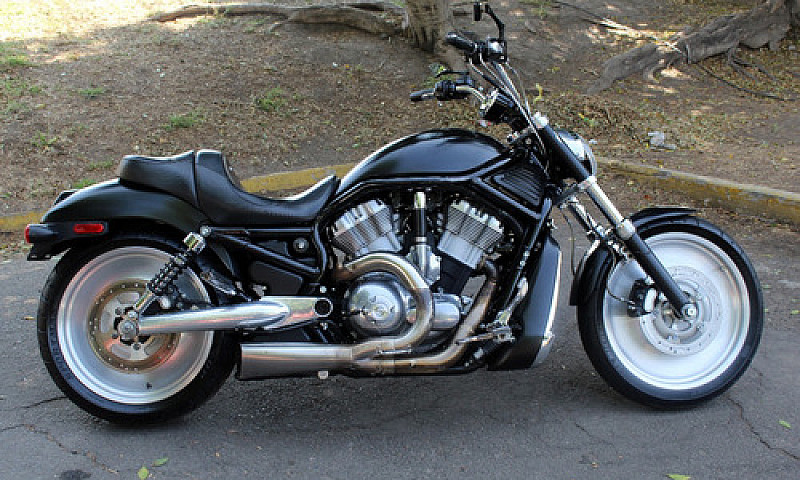 Muy Cuidada Harley D...