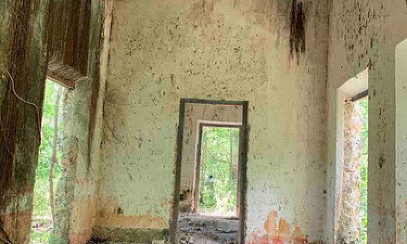 Ex Hacienda Henequen...