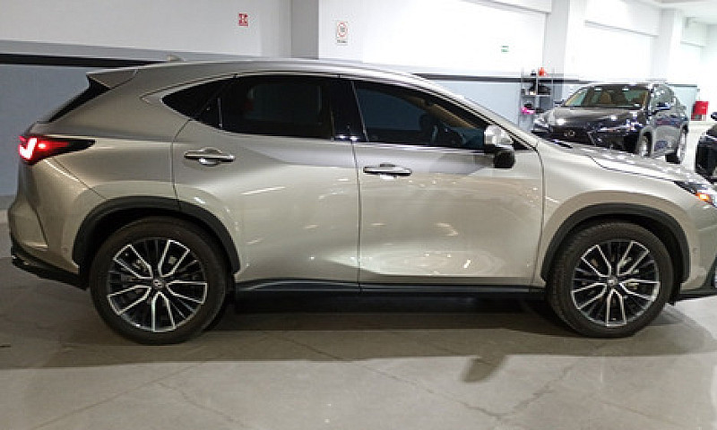 Lexus Nx 2022...