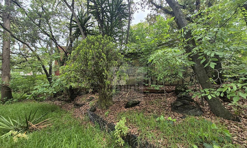 Jardines Del Ajusco ...