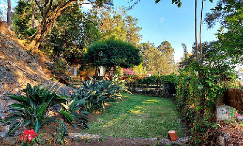 Venta Casa En Coloni...