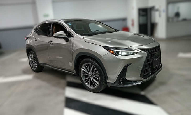 Lexus Nx 2022...