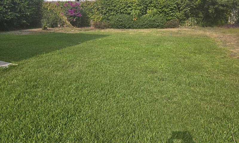 Casa En Venta En Mit...