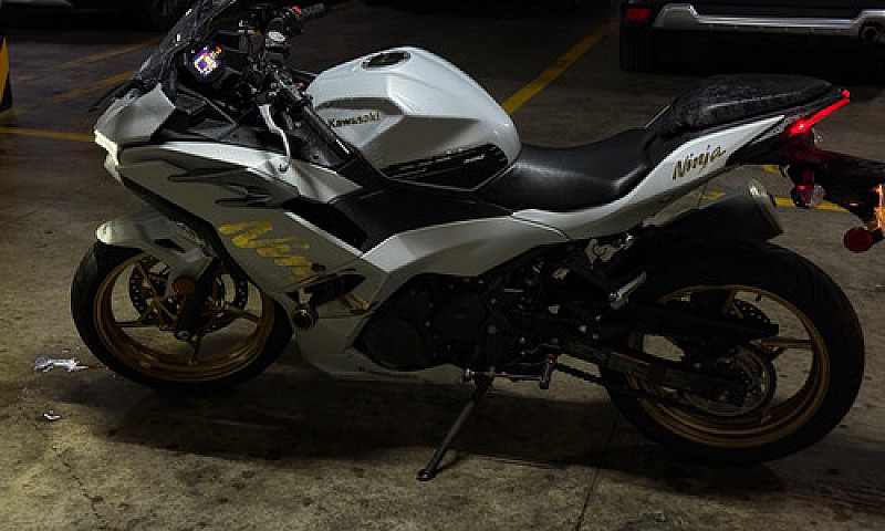 Kawasaki Ninja 500R ...