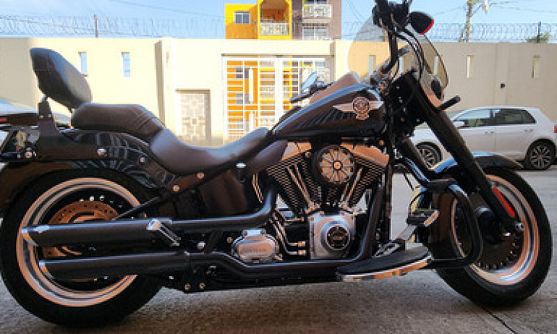 Harley-Davidson Fat ...