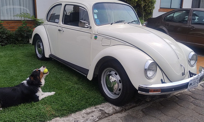 Vocho Sedan...
