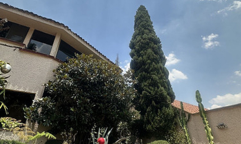 Bosques De Las Lomas...