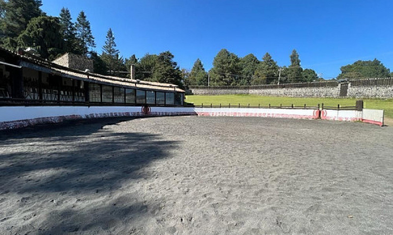 Venta De Cortijo En ...