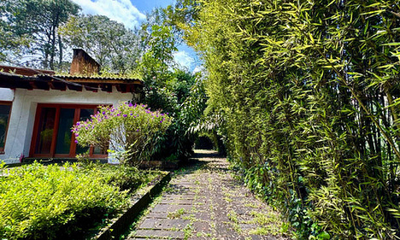 Casa En Venta En El ...
