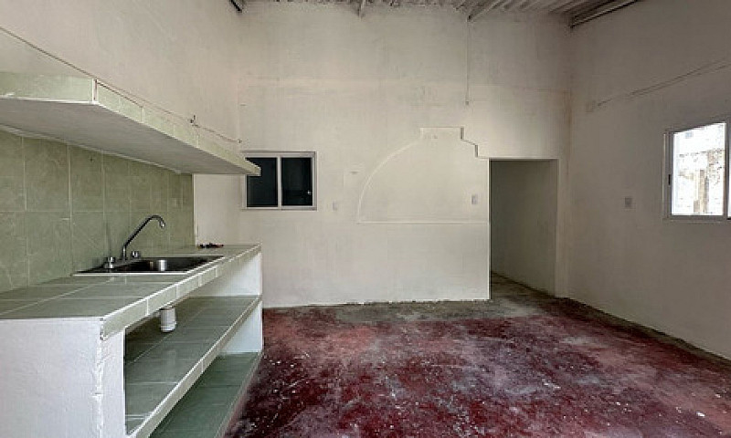 Casa En Venta En Col...