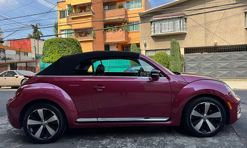 Hermoso Beetle 2017 ...