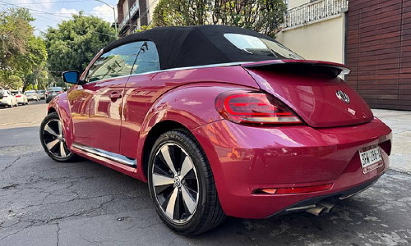 Hermoso Beetle 2017 ...