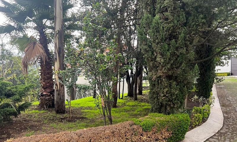 Casa En Venta En Pas...