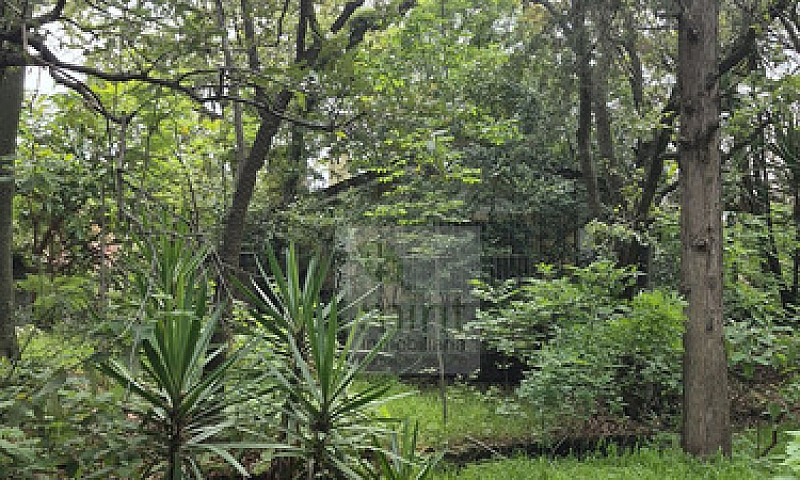 Jardines Del Ajusco ...