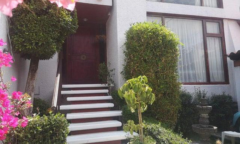 Casa En Venta En Hui...