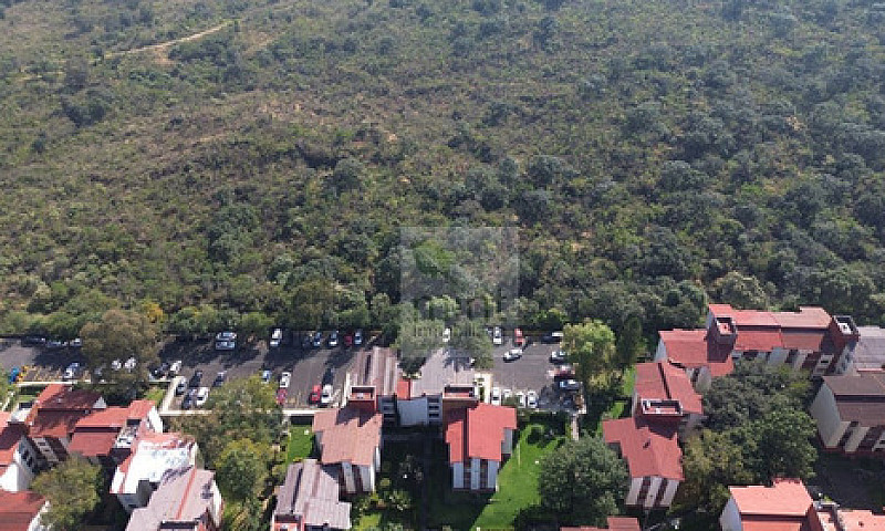 Vista Y Oxígeno De R...