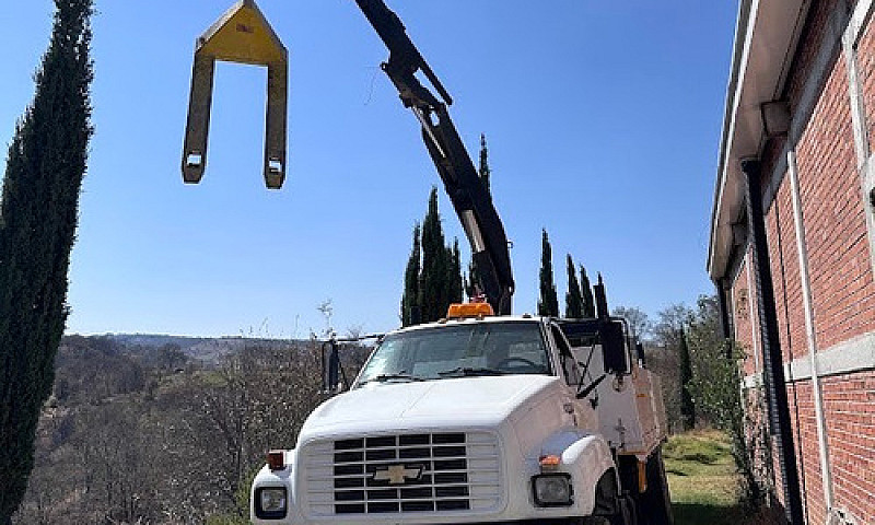Renta Kodiak 12Ton G...