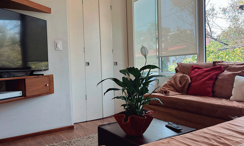 Residencia Remodelad...