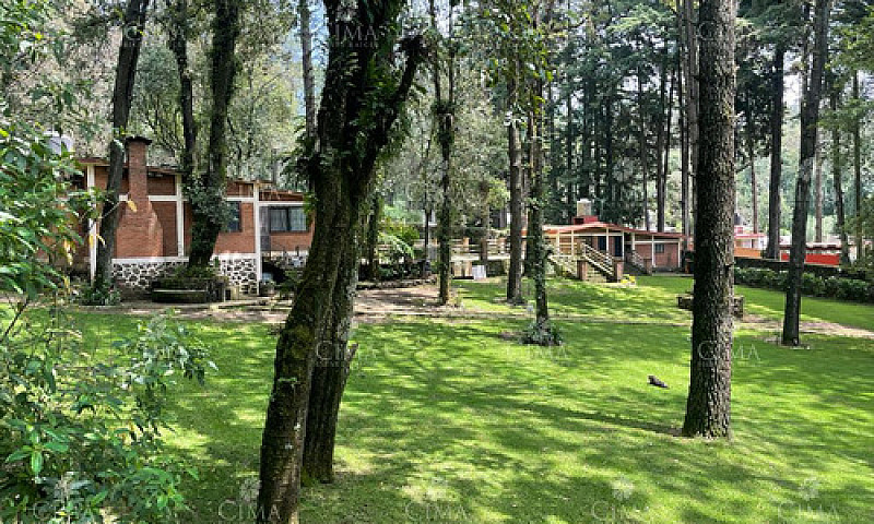 Venta Casa En  Fracc...