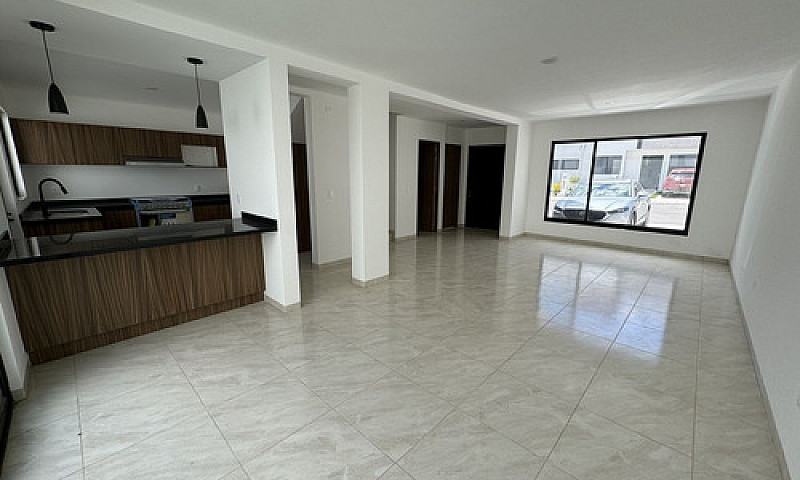Casa Ideal, Roof Gar...