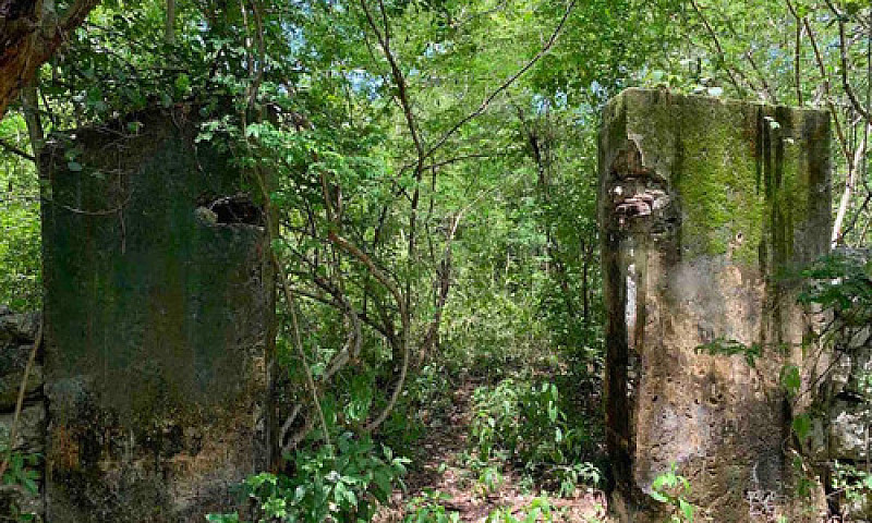 Ex Hacienda Henequen...
