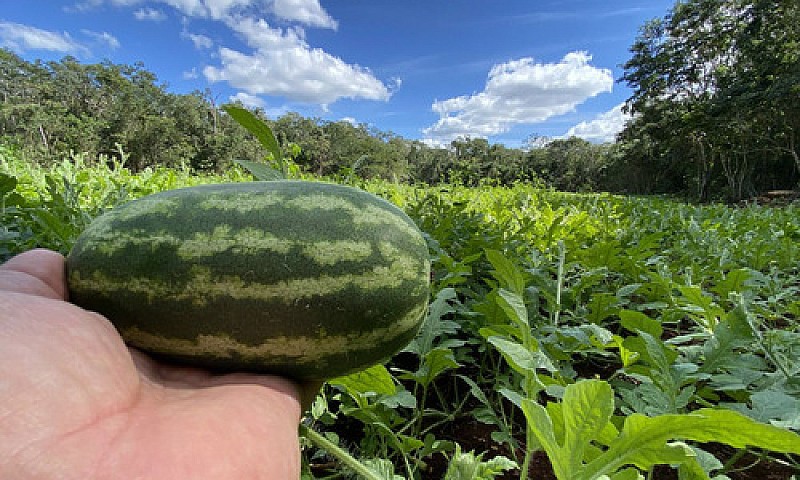 Rancho  Agrícola En ...