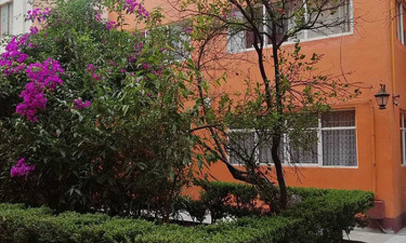 Departamento Venta, ...