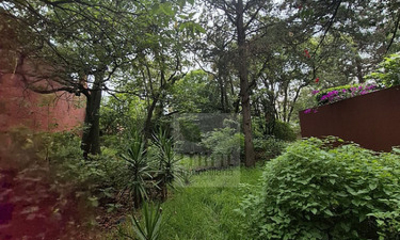 Jardines Del Ajusco ...