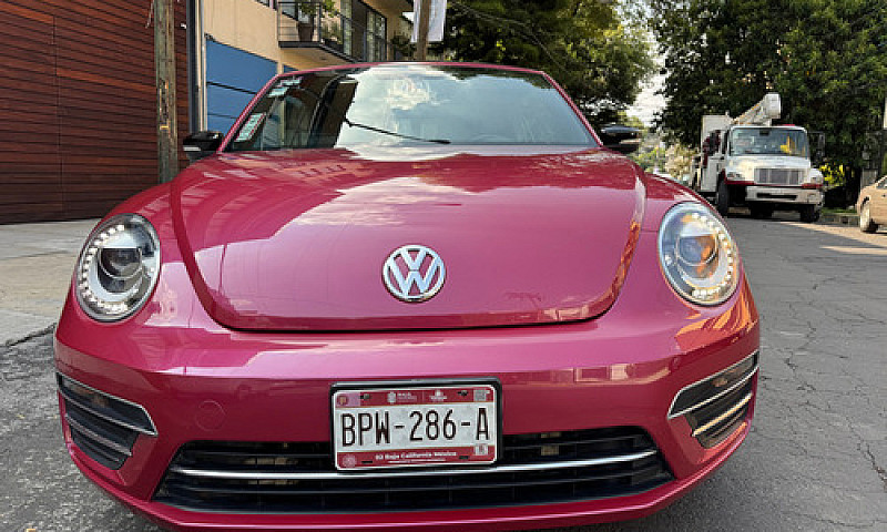 Hermoso Beetle 2017 ...