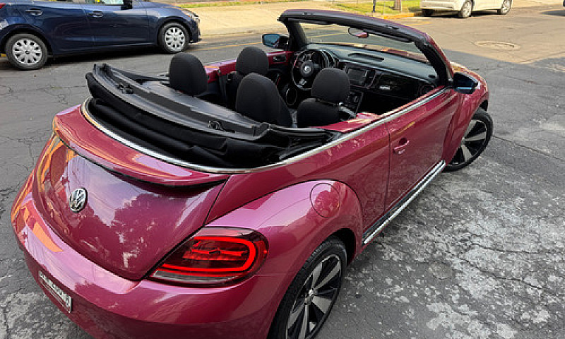 Hermoso Beetle 2017 ...