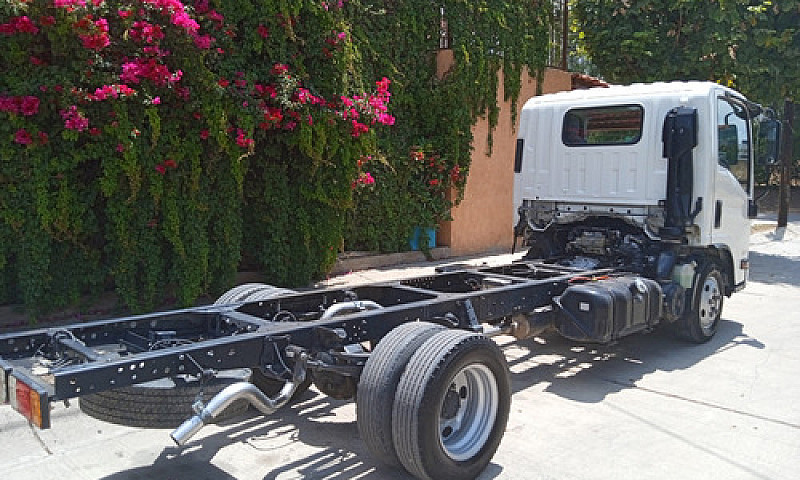 Isuzu Elf 300 2020 C...