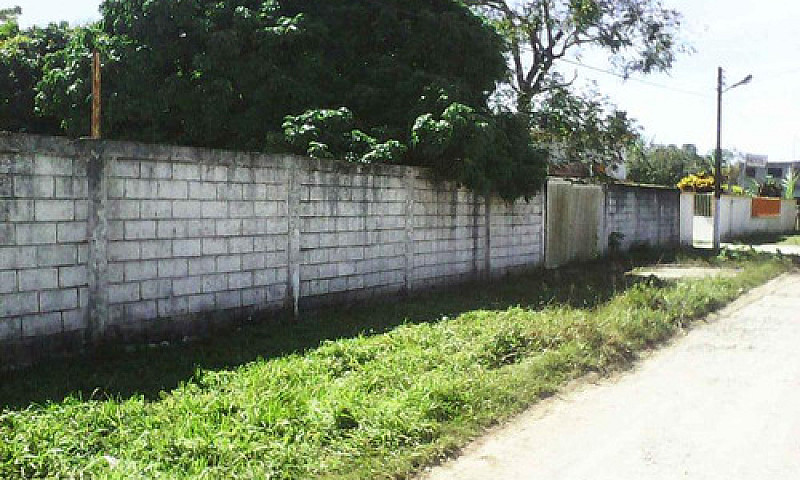 Venta Casa Con Terre...