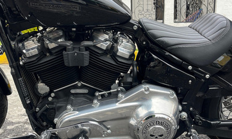 Harley-Davidson Soft...