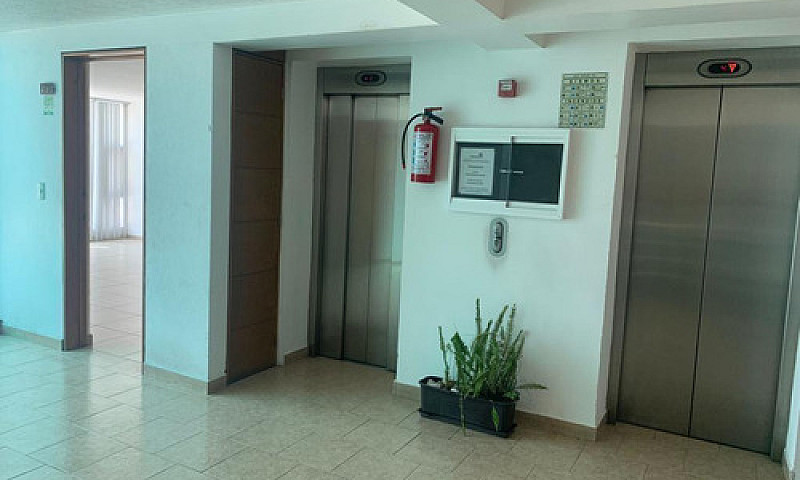 Venta Departamento P...