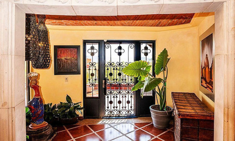 House Sale Labradore...