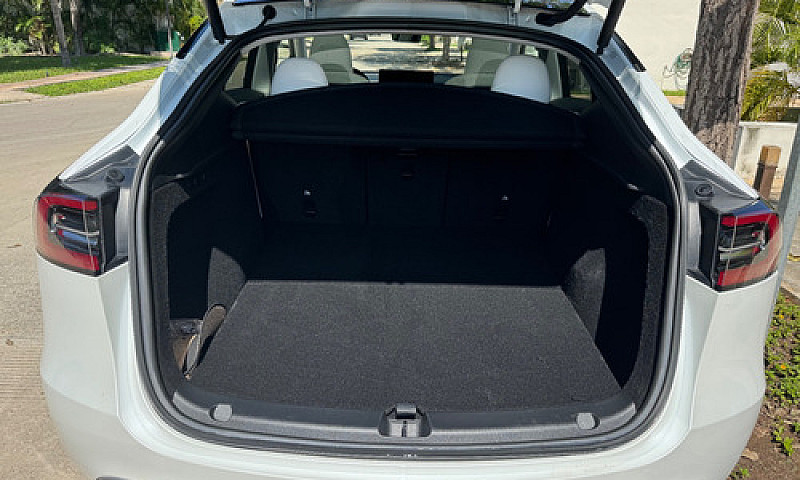 Tesla Model Y Perfor...