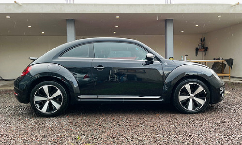 Beetle Final Edition...
