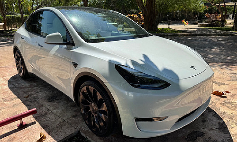 Tesla Model Y Perfor...
