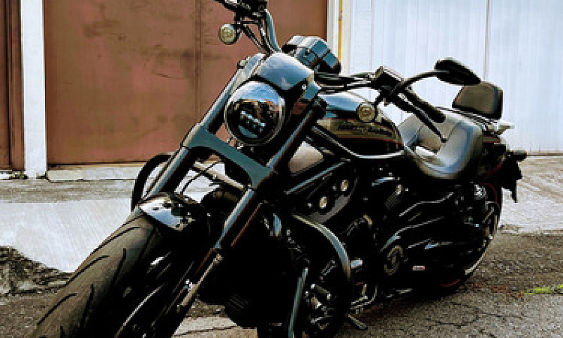 Harley Vrod Night Sp...